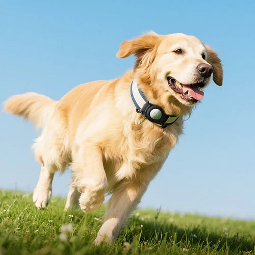 Smart Wireless Pet Tracker Tag with 9-12 Months Battery Life, Comfortable Collar (E91C) product image