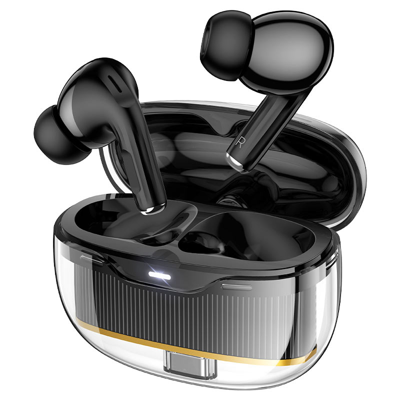 Hoco TWS Bluetooth Earbuds With Clear Body (EW54) - Black product image